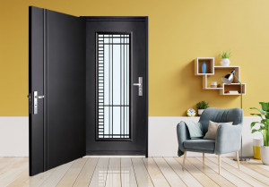 雙玄關門 D6│黑砂色